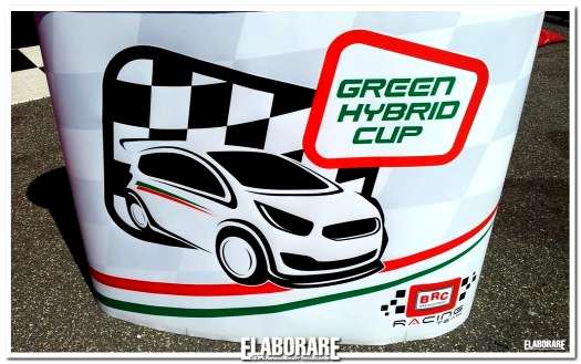 Logo Green Hybrid Cup 2013